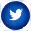 Twitter Icon